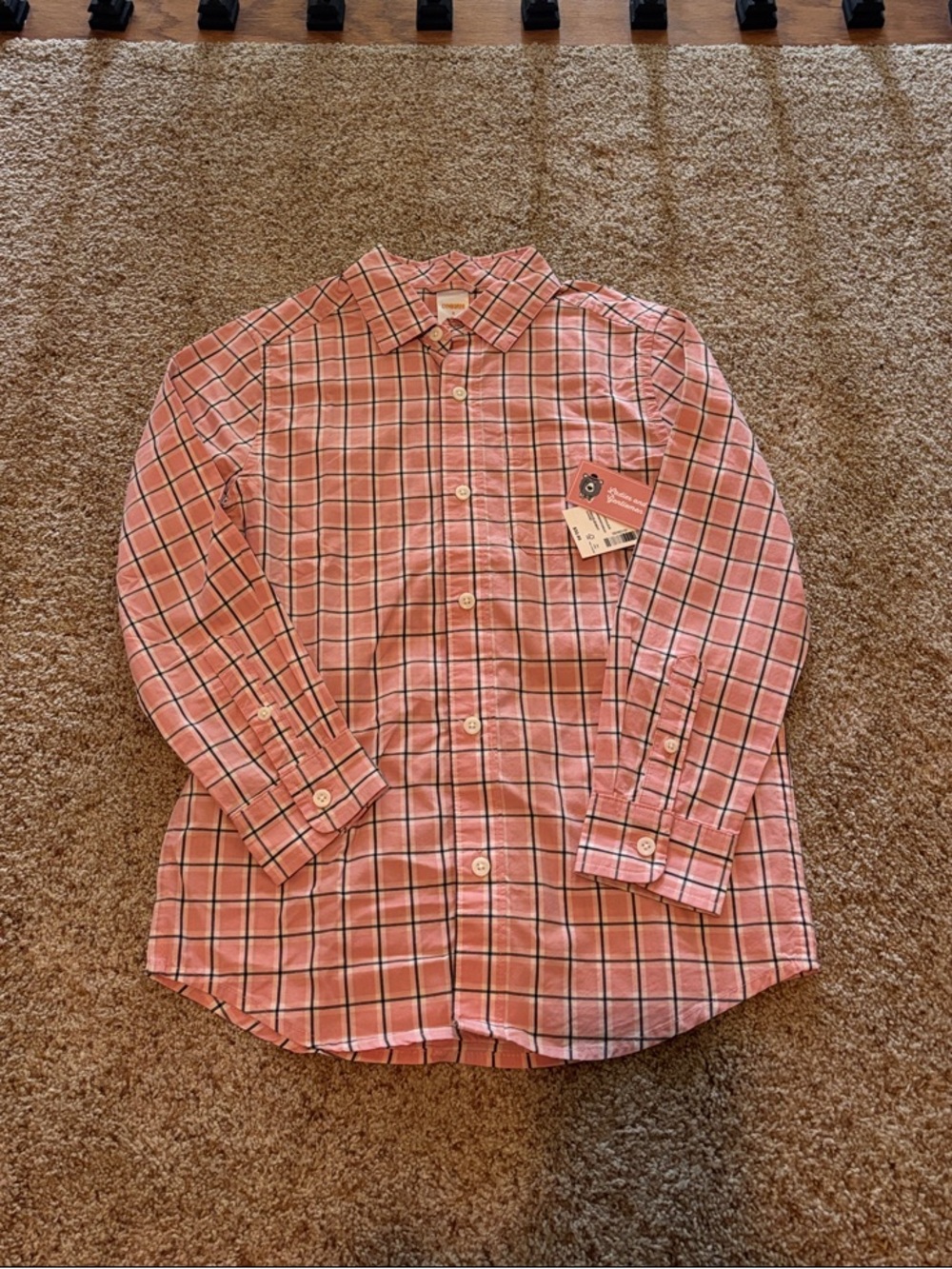 Gymboree Pink and White Plaid Button-Down Shirt